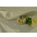Срібне Кільце з драконом