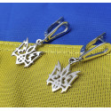 Сережки з гербом України Сережки з гербом України