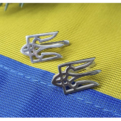 Сережки герб Украины