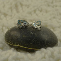 Сережки коня Сережки коня